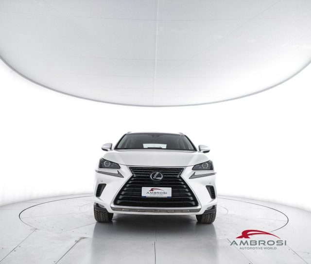 LEXUS NX 300h usata 4