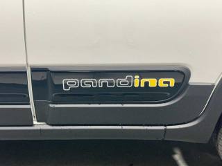 FIAT Panda usata 25