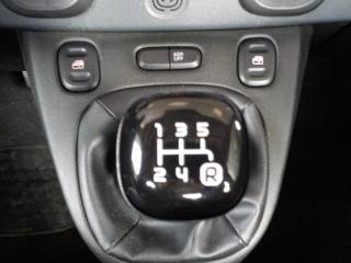 FIAT Panda usata 22