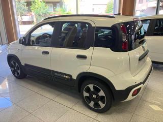 FIAT Panda usata, con Fendinebbia
