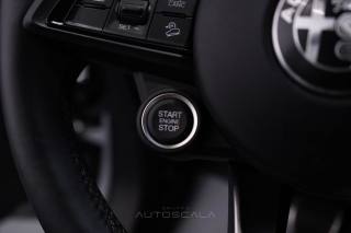 ALFA ROMEO Stelvio usata, con Vetri oscurati