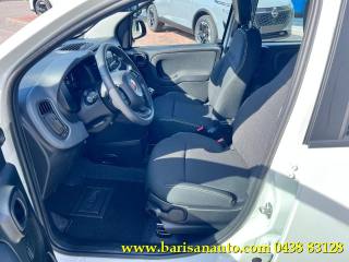 FIAT Panda usata, con Antifurto