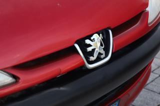 PEUGEOT 206 usata 24
