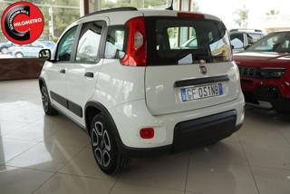FIAT Panda usata, con Alzacristalli elettrici