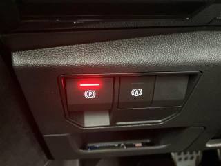RENAULT Austral usata 24