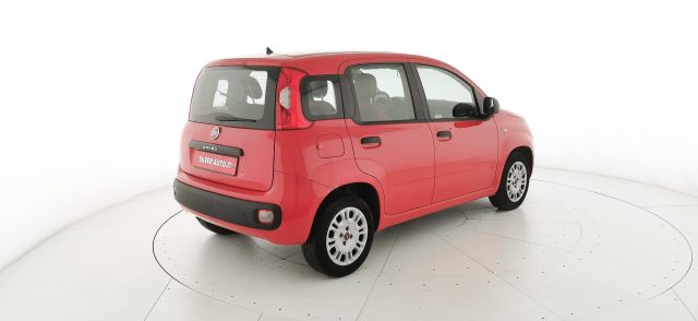 FIAT Panda usata 16