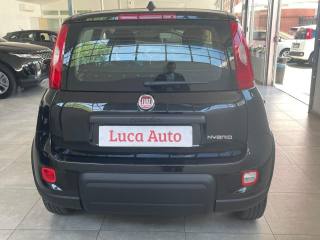 FIAT Panda usata, con Chiusura centralizzata