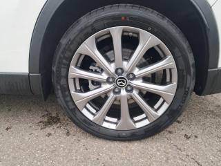 MAZDA CX-60 usata, con Filtro antiparticolato