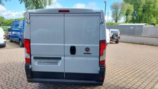 FIAT Ducato usata, con Servosterzo
