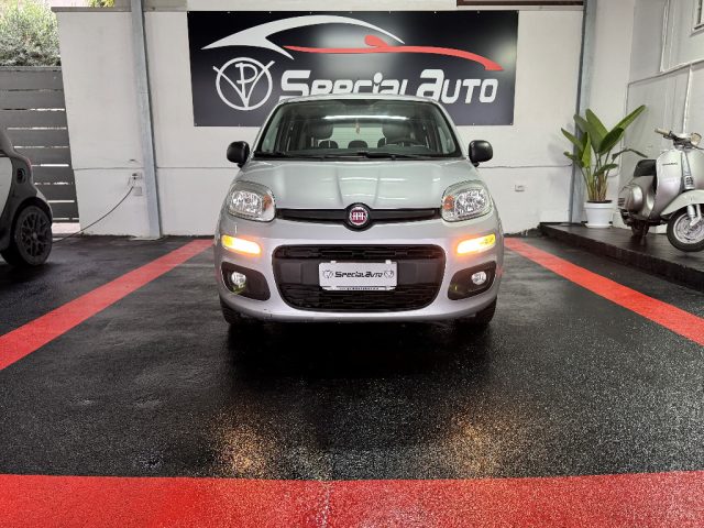 FIAT Panda usata 13
