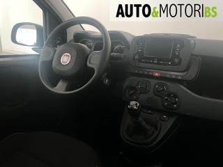 FIAT Panda usata, con USB