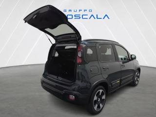 FIAT Pandina usata, con Bracciolo
