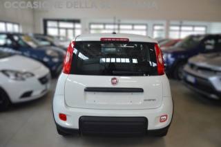 FIAT Panda usata, con Antifurto