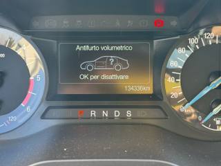 FORD S-Max usata, con Volante multifunzione