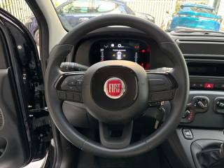 FIAT Panda usata, con Cruise Control