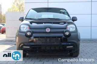 FIAT Panda usata 1