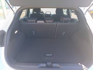 FORD Puma usata, con Fendinebbia