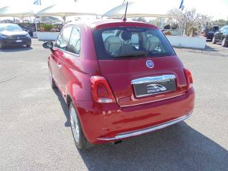 FIAT 500 usata 15