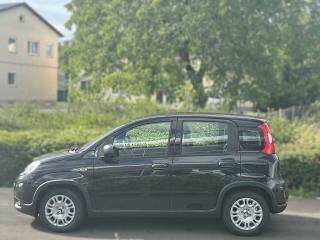 FIAT Panda usata, con Climatizzatore