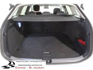 VOLKSWAGEN Passat usata, con Fendinebbia