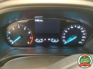 FORD Puma usata, con Sedile posteriore sdoppiato