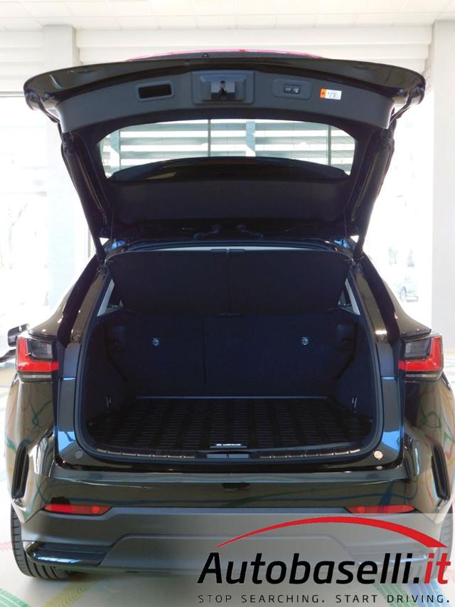 LEXUS NX 450h usata, con Volante riscaldabile