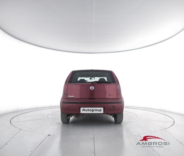 FIAT Punto usata 5