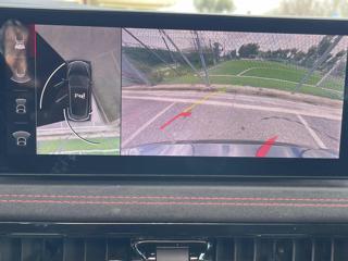 ALFA ROMEO Tonale usata, con Sedile posteriore sdoppiato