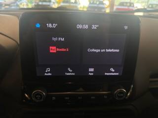 FORD EcoSport usata, con Bracciolo