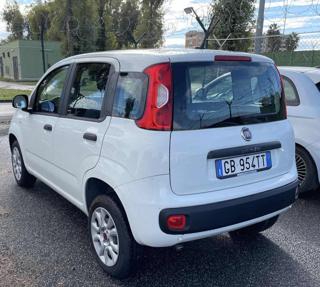 FIAT Panda usata, con Climatizzatore
