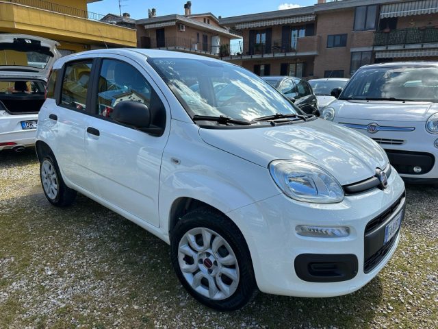 FIAT Panda usata, con Airbag Passeggero