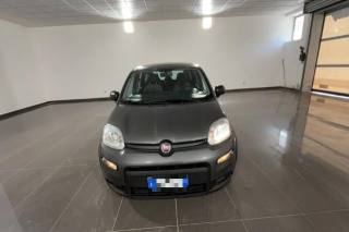FIAT Panda usata, con Fendinebbia