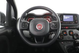 FIAT Panda usata 5