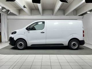 FIAT Scudo usata, con Airbag