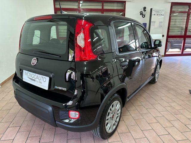 FIAT Panda usata, con Airbag Passeggero