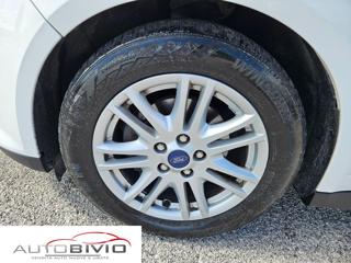 FORD C-Max usata, con Fendinebbia