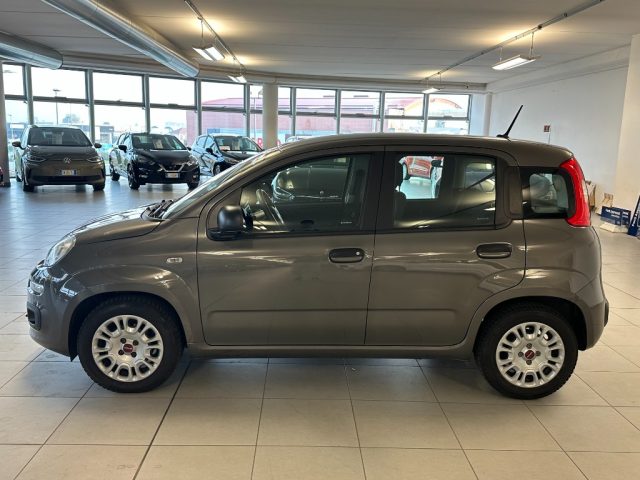 FIAT Panda usata, con Alzacristalli elettrici