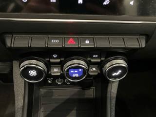 RENAULT ZOE usata 20