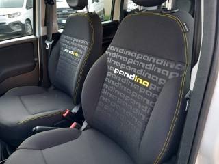 FIAT Panda usata, con Riconoscimento dei segnali stradali