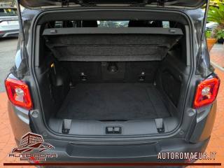 JEEP Renegade usata, con Cruise Control