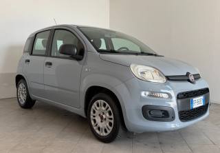 FIAT Panda usata 1