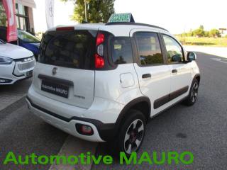 FIAT Panda Cross usata, con Controllo trazione