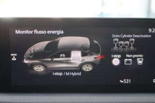 MAZDA CX-30 usata, con Servosterzo