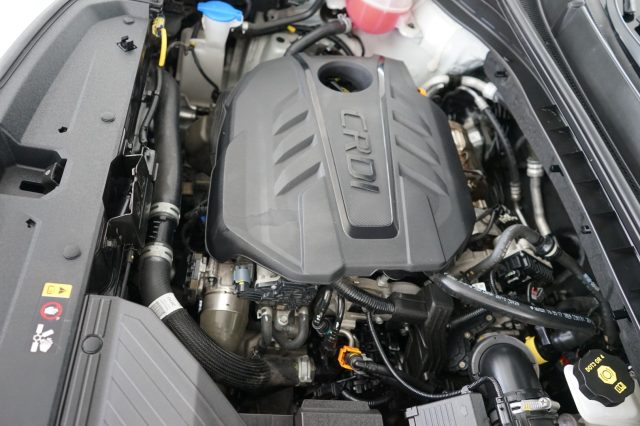 KIA Sportage usata 59