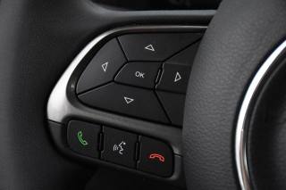 JEEP Renegade usata, con USB