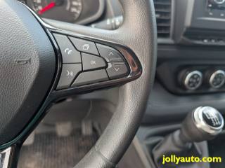 RENAULT Trafic usata 27