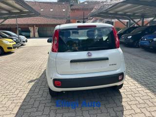 FIAT Panda usata, con Controllo trazione