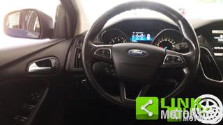 FORD Focus usata 13