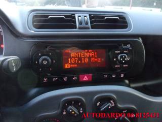FIAT Panda usata, con Airbag testa