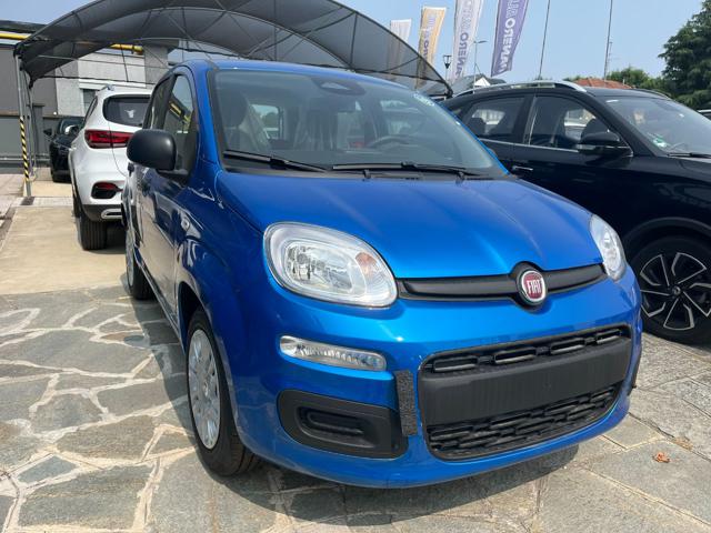 FIAT Panda usata 23